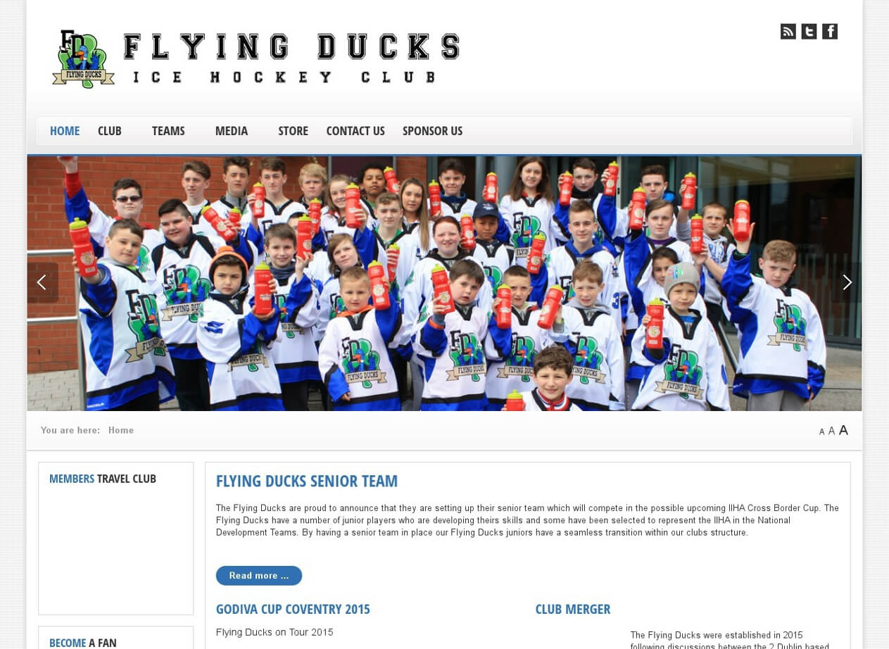 Flying Ducks Ice Hockey Club